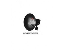 Tronic Fluorescent 300R Tronic Fluorescent 300R